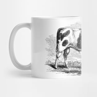 Bull Illustration Mug